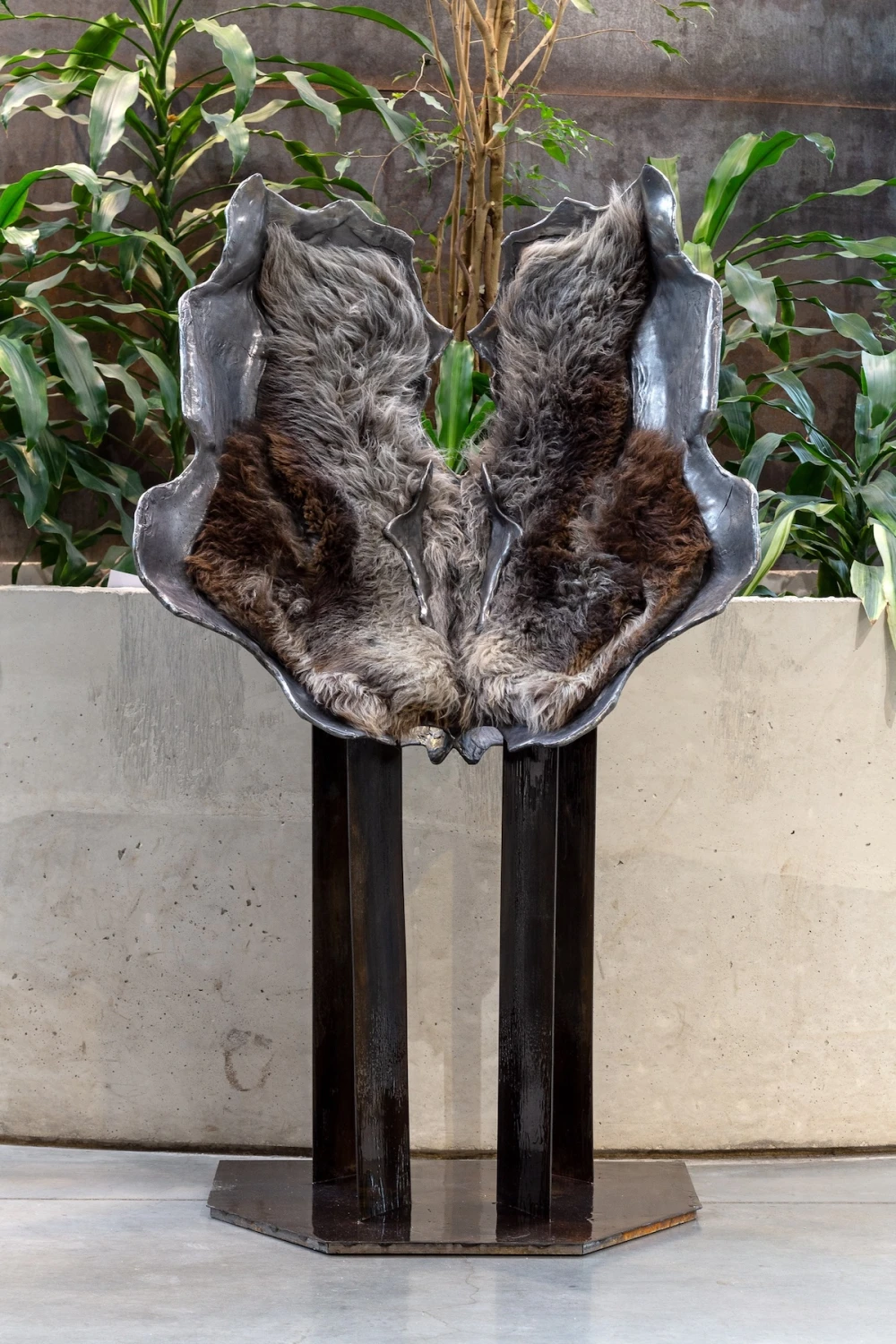 выставки спб 2025 фото